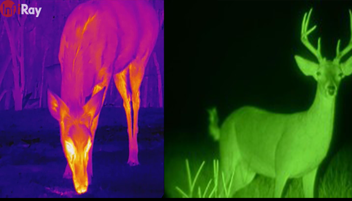 03-_the_difference_between_thermal_imaging_and_night_vision.png