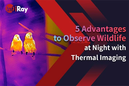 5 Advantages to Observe Wildlife at Night with Thermal Imaging