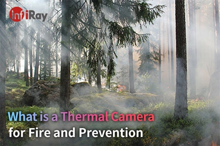 What is a Thermal Camera for Fire and Prevention?