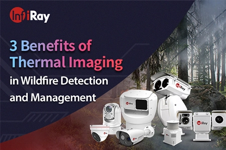 3 Benefits of Thermal Imaging in Wildfire Detection and Management