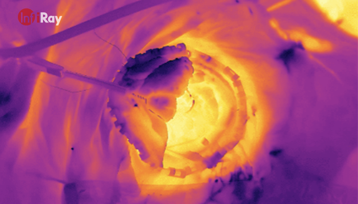 07InfiRay_thermal_camera_can_Assistance_in_Medical_Diagnosis.png