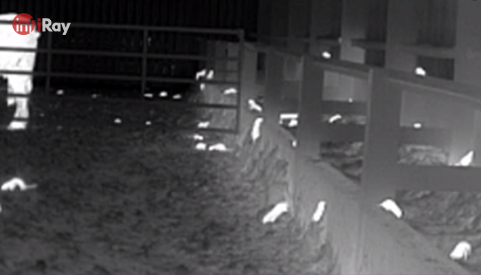 04Thermal_cameras_can_see_pests_in_the_dark_that_hide_as_soon_as_the_lights_are_turned_on.png