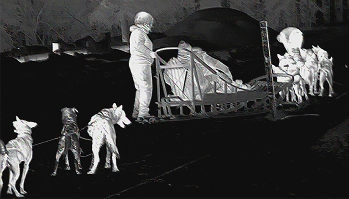 Farmers_and_dog_in_a_hunting_yard_under_thermal_imaging.jpg