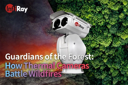 Guardians of the Forest: How Thermal Cameras Battle Wildfires