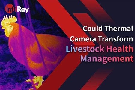 Could Thermal Camera Transform Livestock Health Management