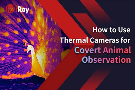 How to Use Thermal Cameras for Covert Animal Observation
