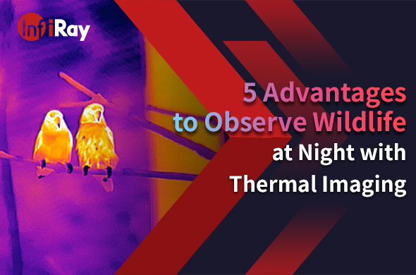cover-5_Advantages_to_Observe_Wildlife_at_Night_with_Thermal_Imaging.jpg