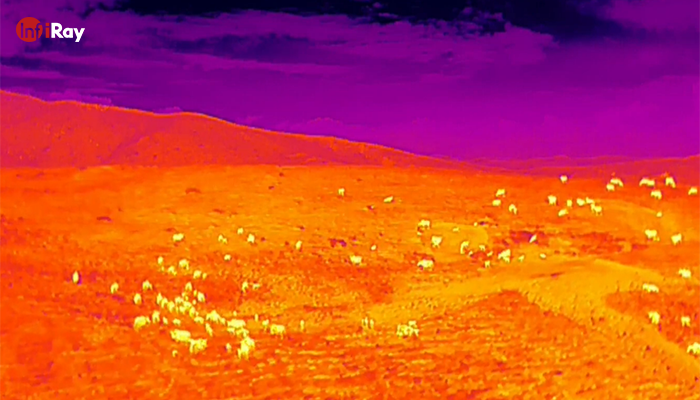 05_observe_animals_from_higher_ground_with_thermal_cameras.png