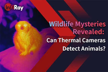 Wildlife Mysteries Revealed: Can Thermal Cameras Detect Animals?