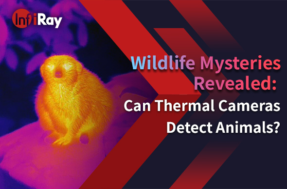cover-Wildlife_Mysteries_Revealed-_Can_Thermal_Cameras_Detect_Animals.jpg