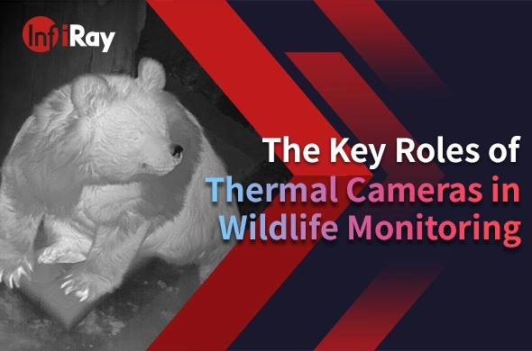 The Key Roles of Thermal Cameras in Wildlife Monitoring