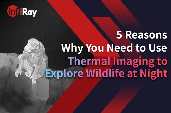 5 Reasons Why You Need to Use Thermal Imaging to Explore Wildlife at Night