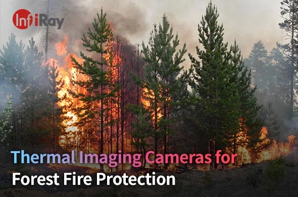 Thermal Cameras for Forest Fire Protection
